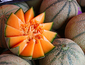 Melon. - Enlarge picture (modal window)