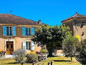 Oies du Gers. - Enlarge picture (modal window)