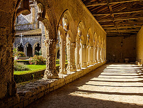 Eglise collégiale Saint-Pierre de La Romieu - Enlarge picture (modal window)
